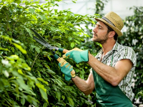 Commitment to zero tolerance and responsible tree surgery