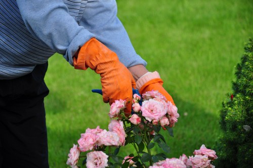Safe and trusted online payments for Tree Surgeons Charlton