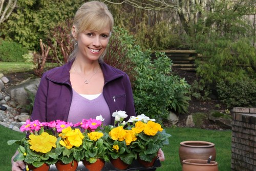 Recycled woodchip and timber reuse by local charity partners
